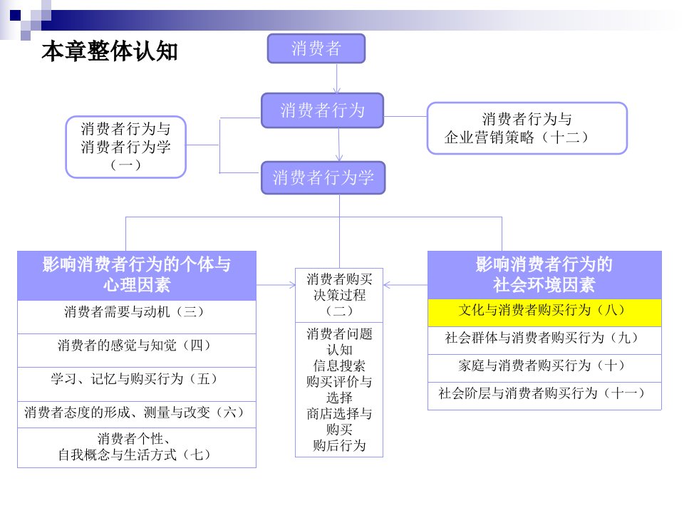 第八章文化与消费者购买行为ppt课件