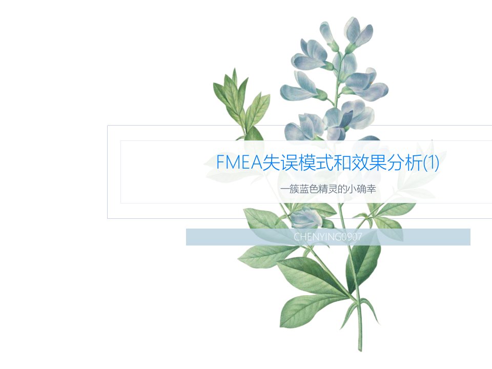 FMEA失误模式和效果分析(1)