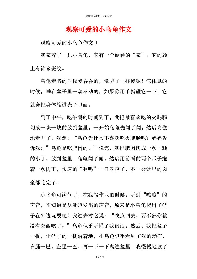 观察可爱的小乌龟作文