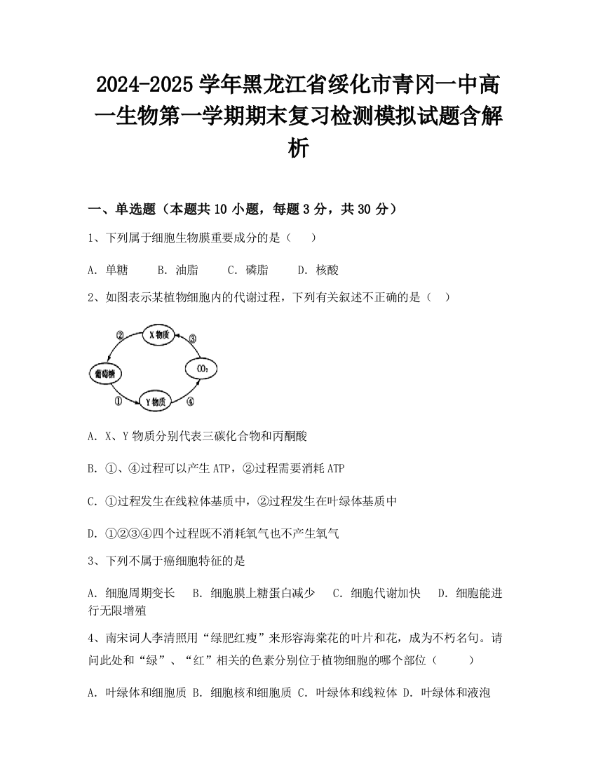 2024-2025学年黑龙江省绥化市青冈一中高一生物第一学期期末复习检测模拟试题含解析