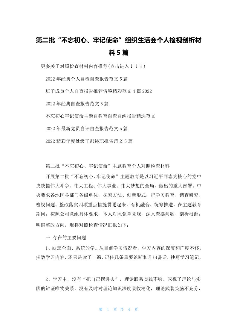 第二批“不忘初心、牢记使命”组织生活会个人检视剖析材料5篇