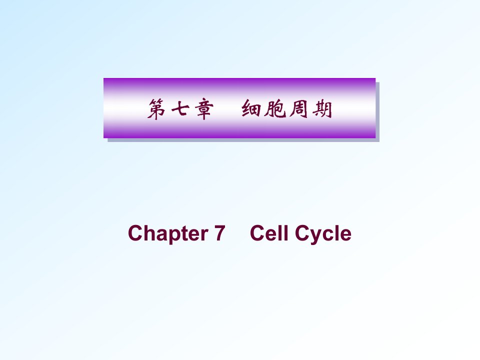 分子生物学细胞周期研究生课件