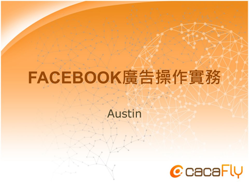 [精选]facebook广告实务