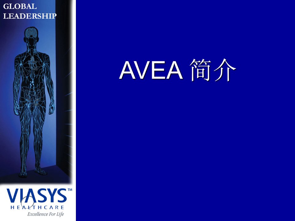 《AVEA招标用》PPT课件