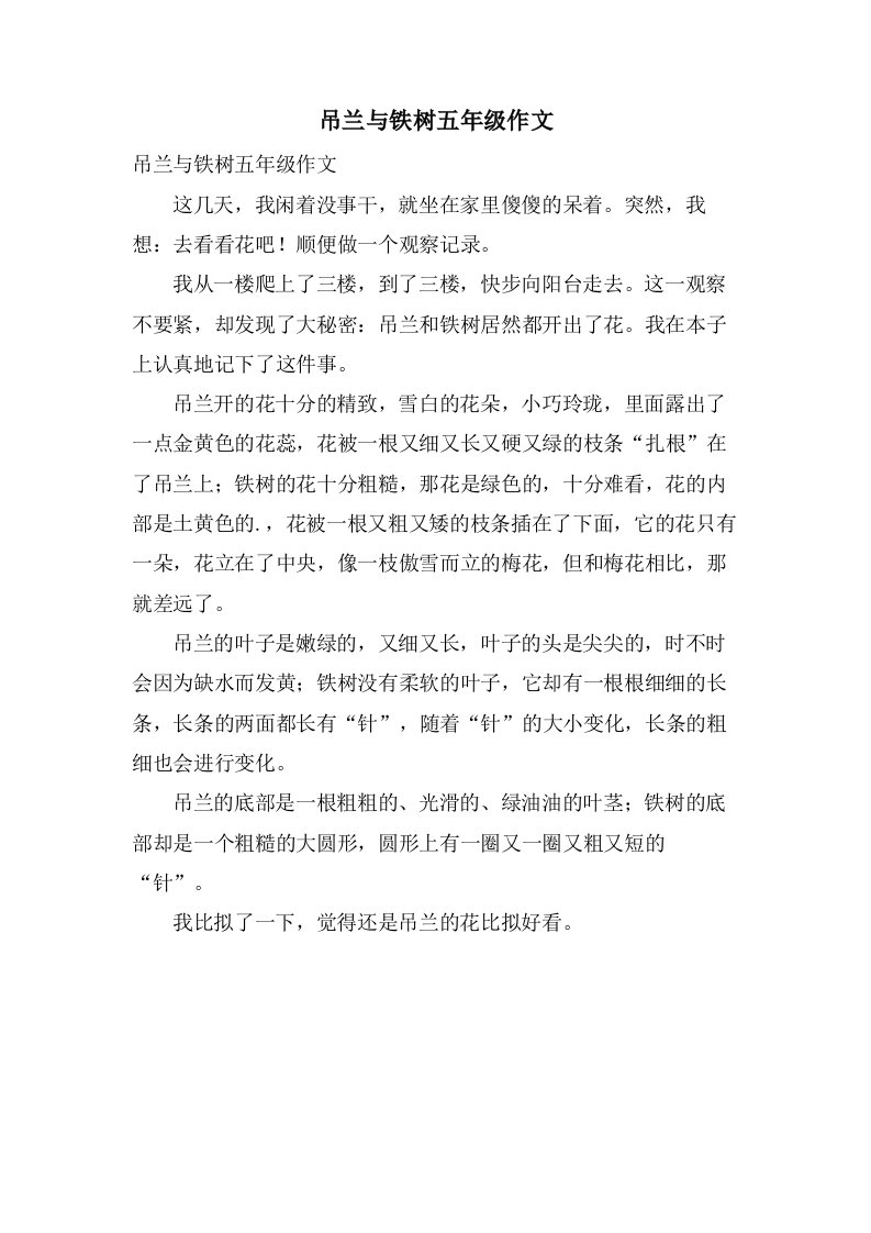 吊兰与铁树五年级作文