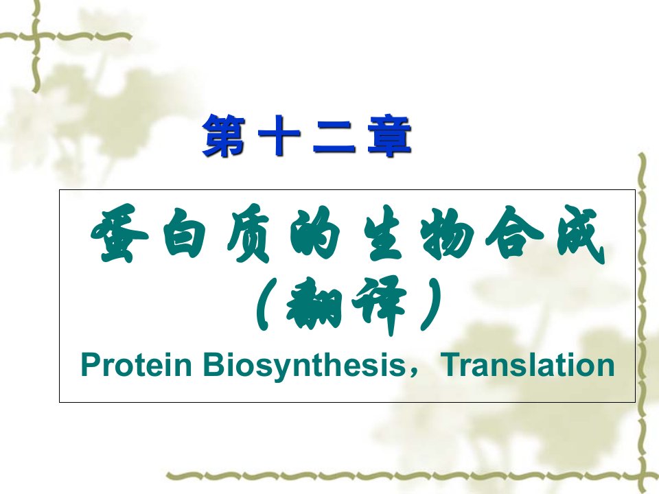 第12章蛋白质的生物合成七版10课件