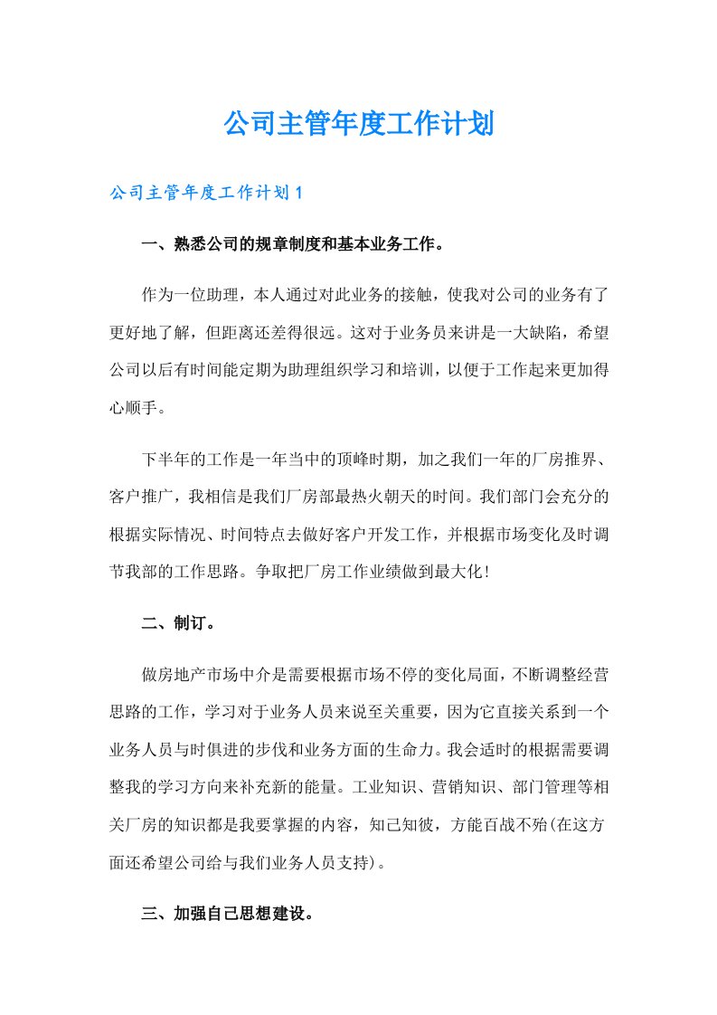 公司主管年度工作计划