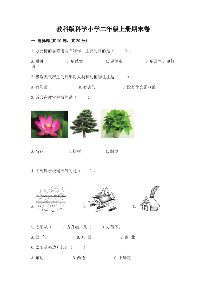 教科版科学小学二年级上册期末卷附答案（综合题）