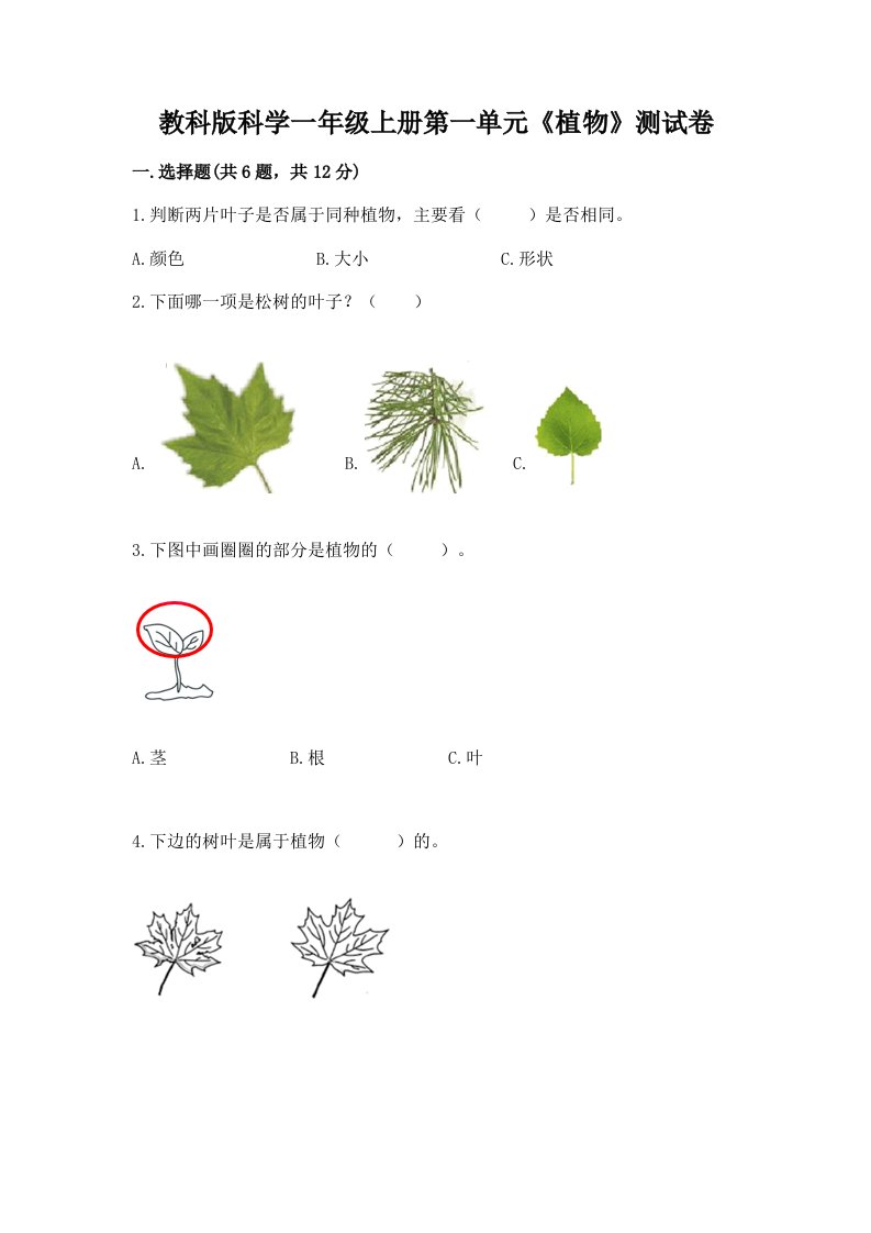 教科版科学一年级上册第一单元《植物》测试卷附完整答案（各地真题）