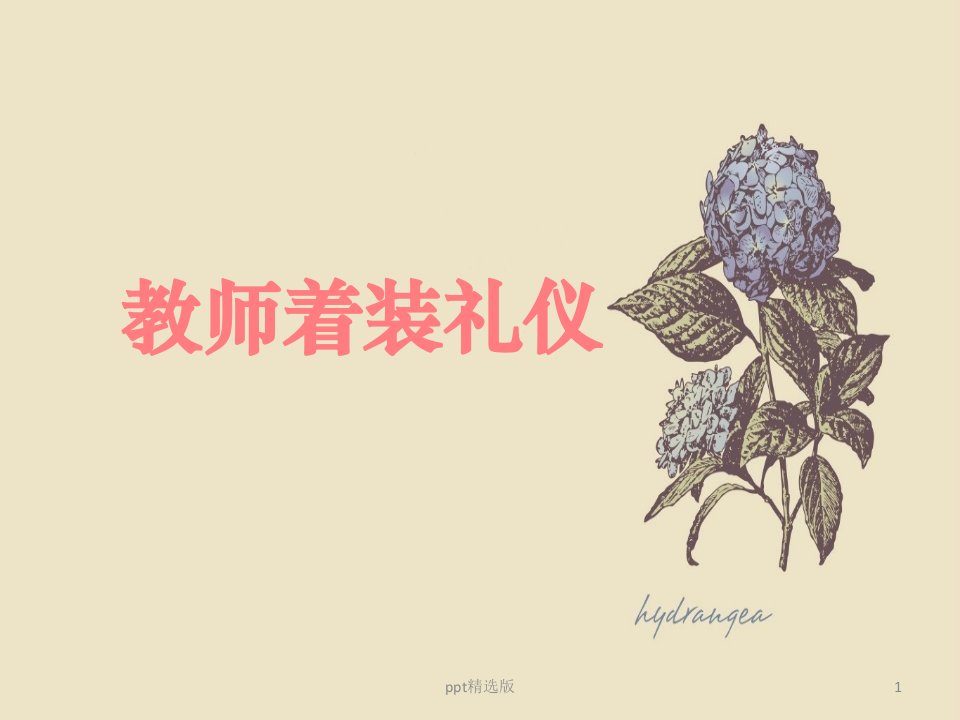 教师着装礼仪PPTppt课件