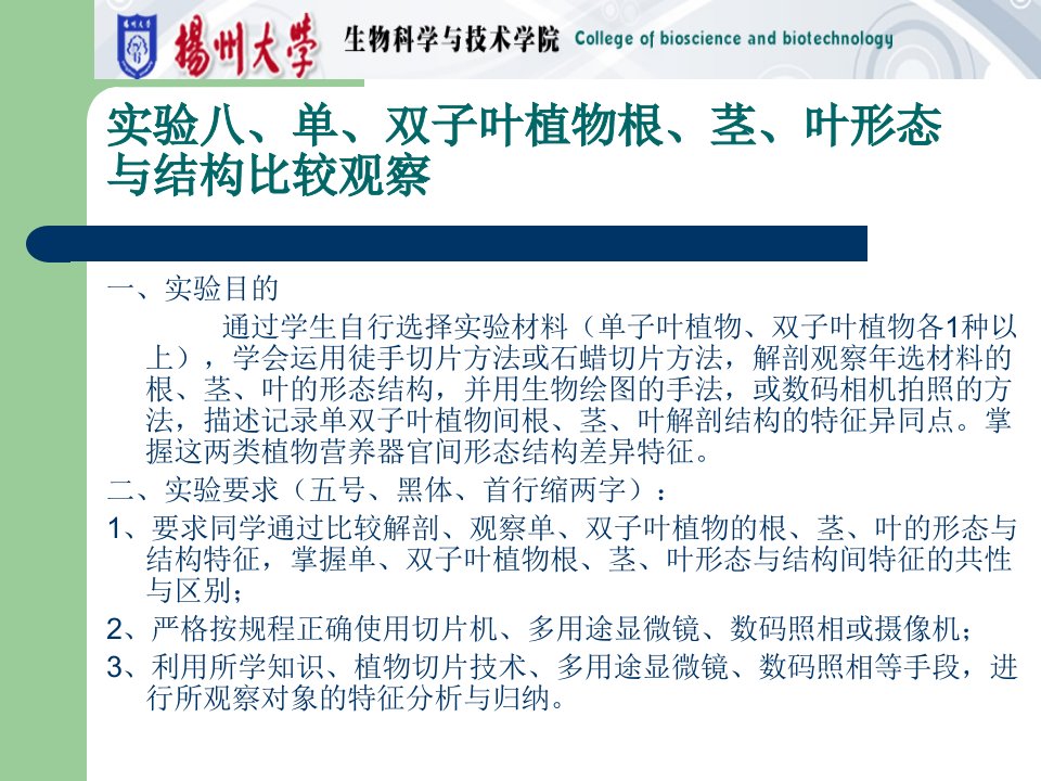 实验八单双子叶植物根茎叶形态与结构