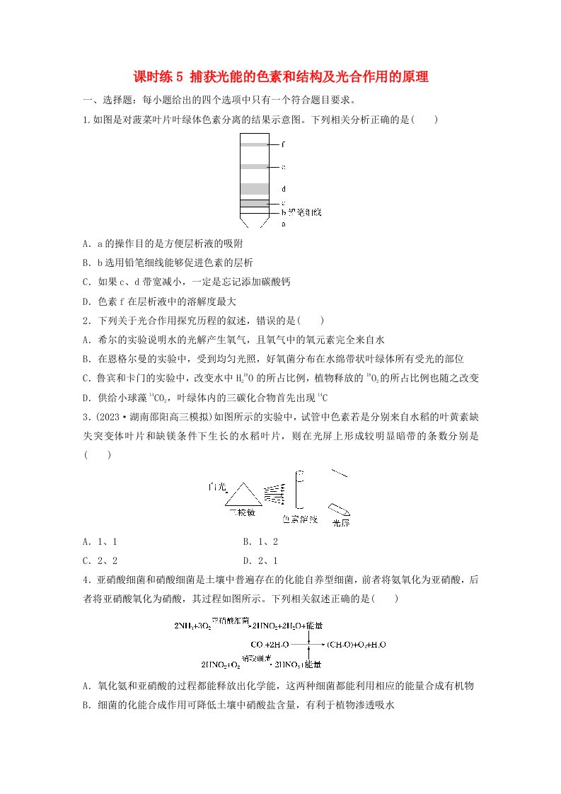 鲁湘辽新教材2024届高考生物一轮复习练习第三单元细胞的能量供应和利用课时练5捕获光能的色素和结构及光合作用的原理