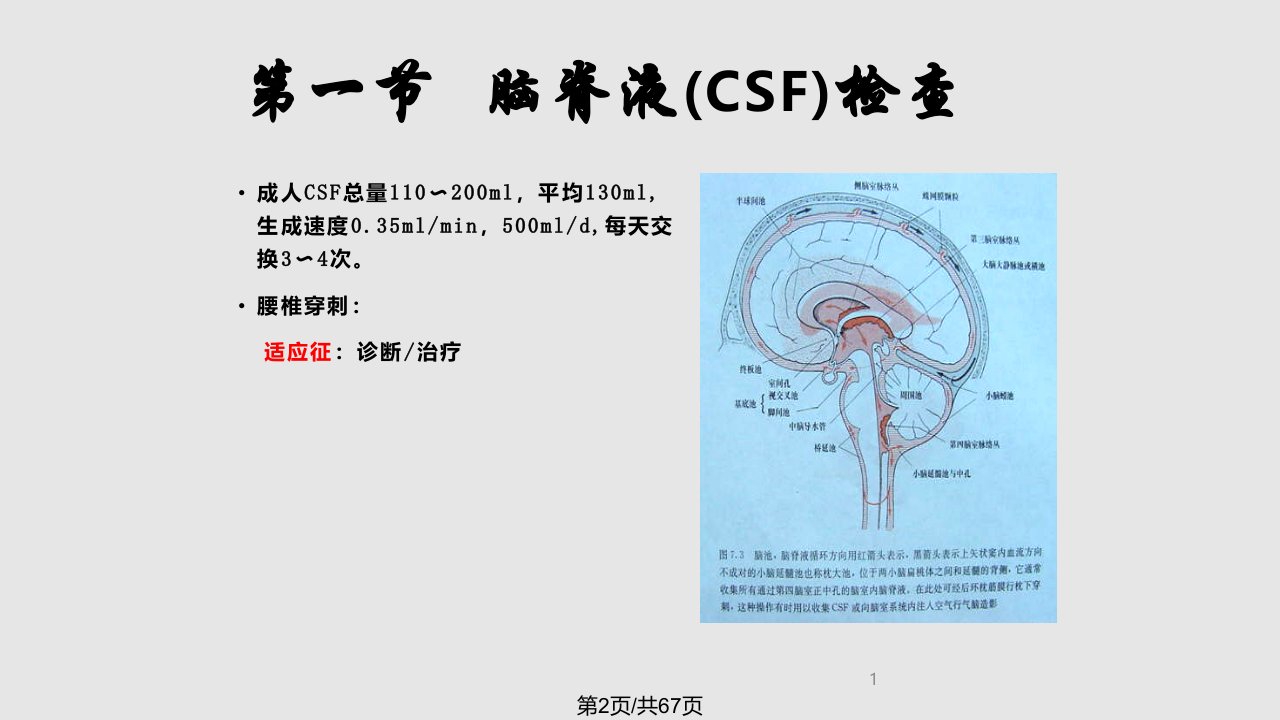 神经系统辅助检查04课件