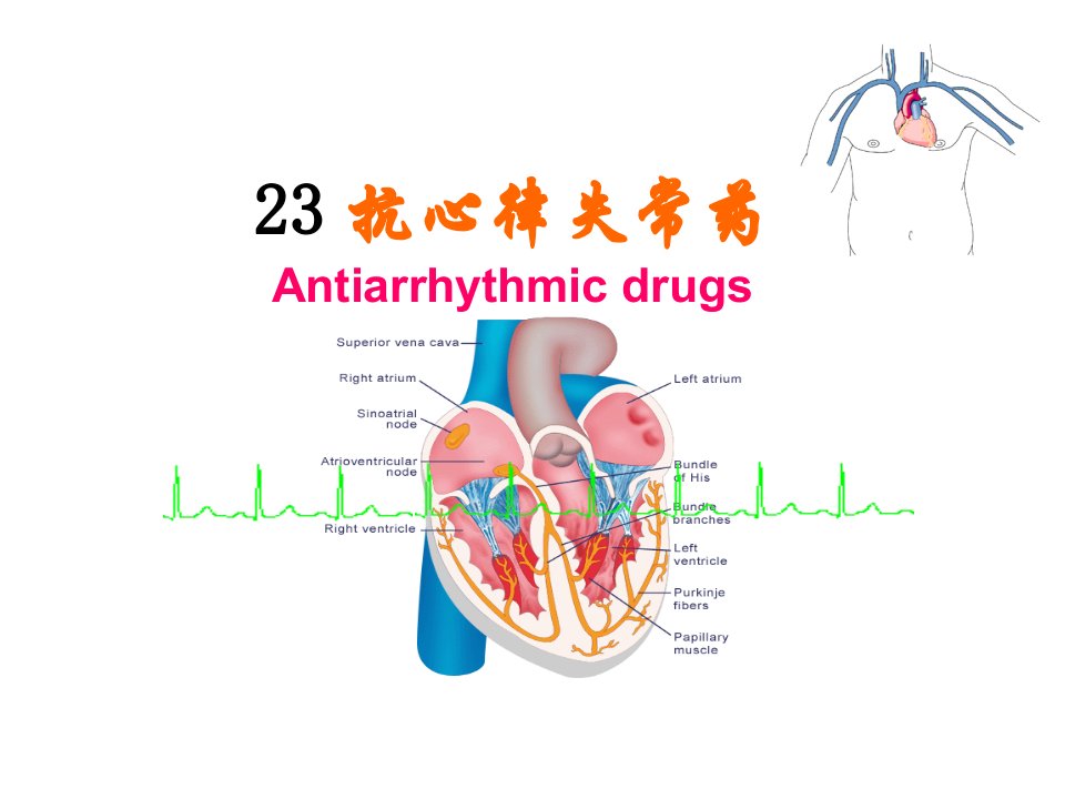 抗心律失常药课件