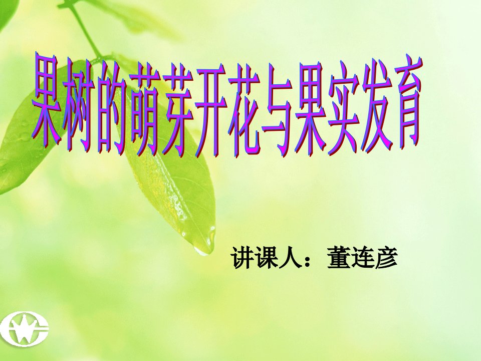 果树的萌芽开花与果实发育ppt课件