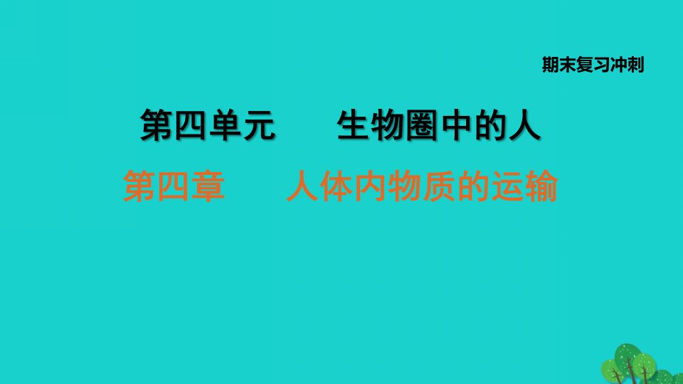 安徽专版2022七年级生物下册第四单元生物圈中的人期末复习冲刺第四章人体内物质的运输习题课件新版新人教版