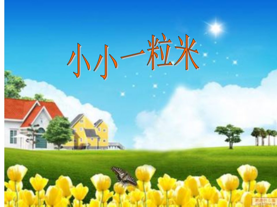 鲁美版小学品德与社会四年级《小小一粒米》课件2