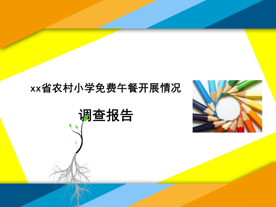 关于农村小学免费午餐调查报告