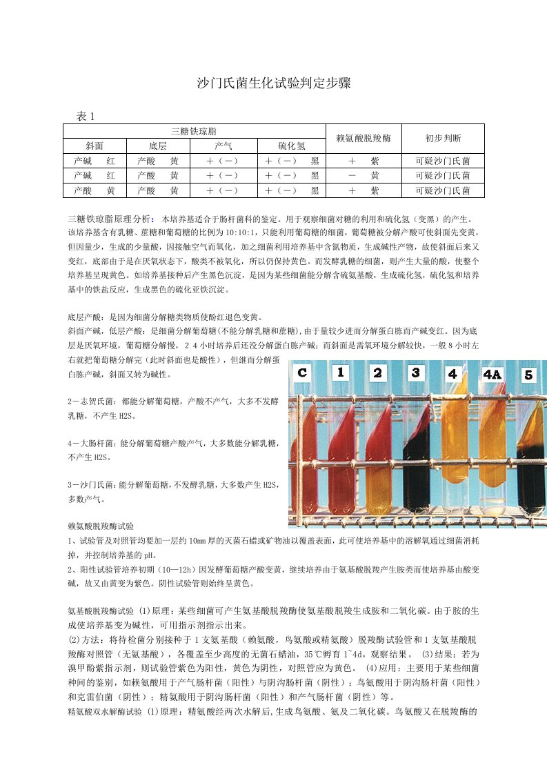 沙门氏菌生化鉴定