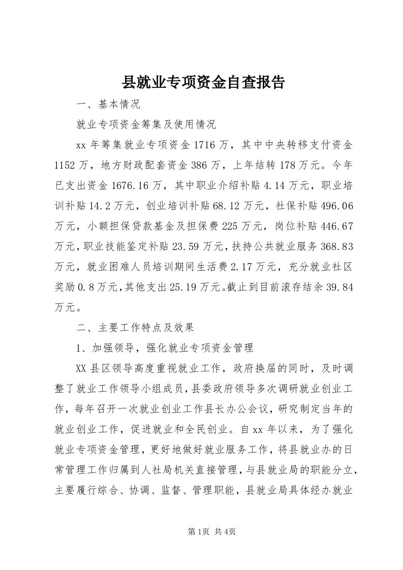 6县就业专项资金自查报告