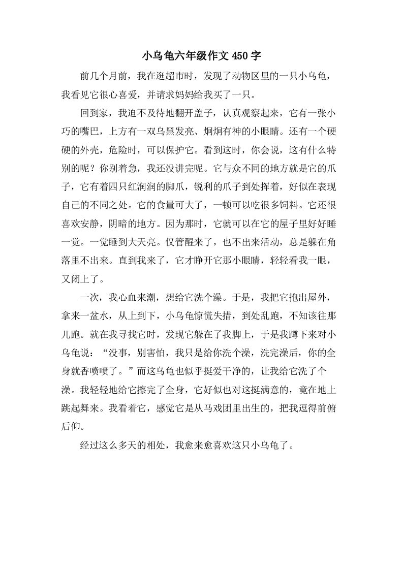 小乌龟六年级作文450字