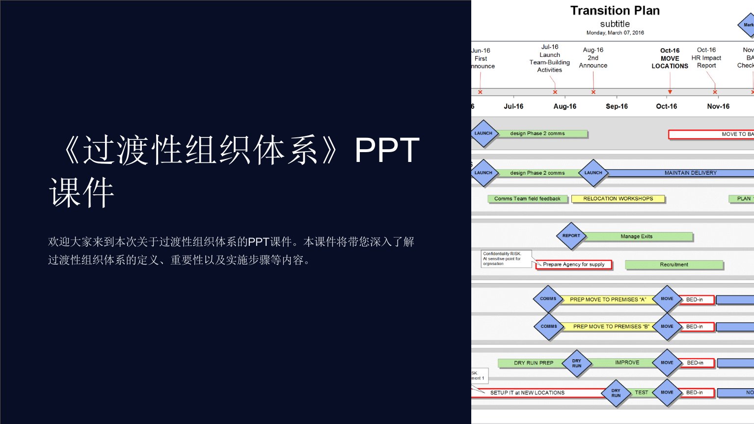 《过渡性组织体系》课件