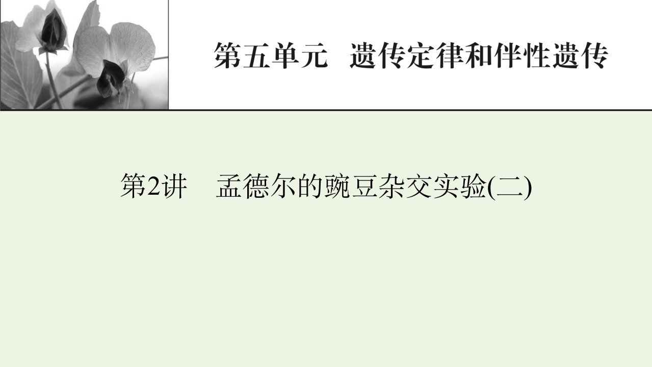 2022届高考生物一轮复习第5单元遗传定律和伴性遗传第2讲孟德尔的豌豆杂交实验二课件新人教版