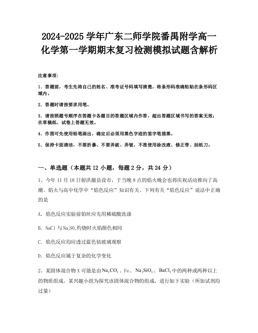 2024-2025学年广东二师学院番禺附学高一化学第一学期期末复习检测模拟试题含解析