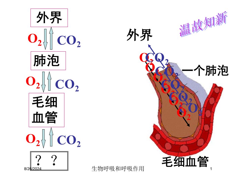 生物呼吸和呼吸作用培训课件