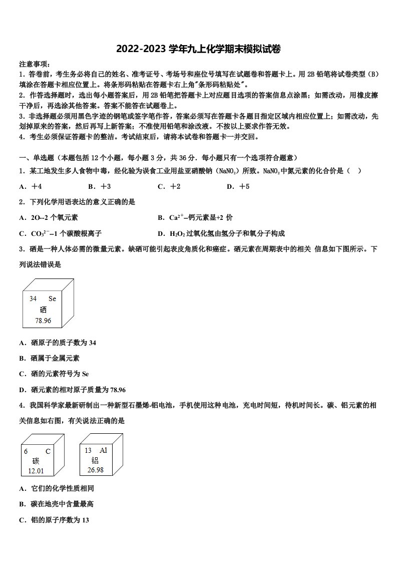 2023届云南省镇康县化学九年级第一学期期末复习检测模拟试题含解析