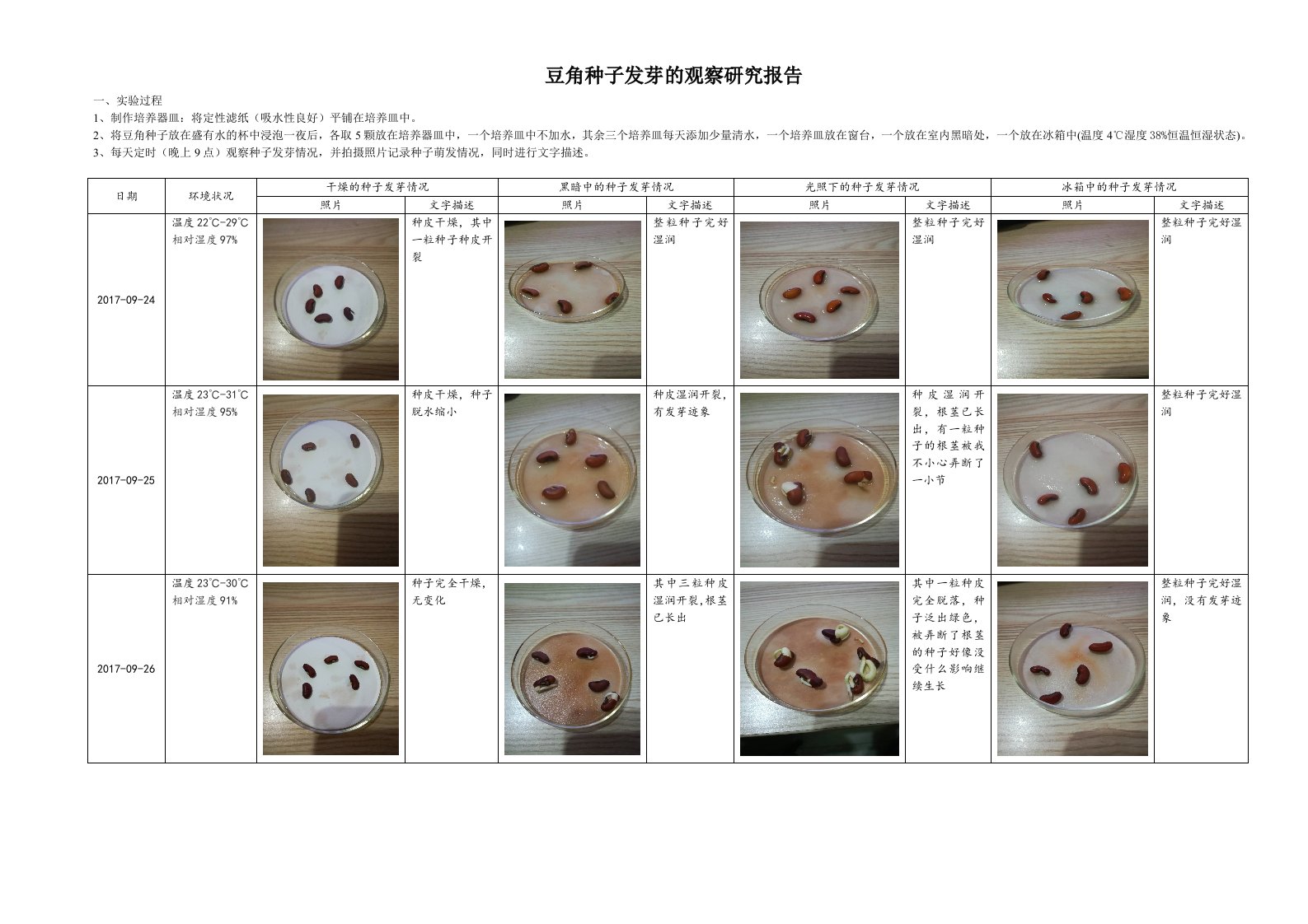 植物种子萌发实验记录表