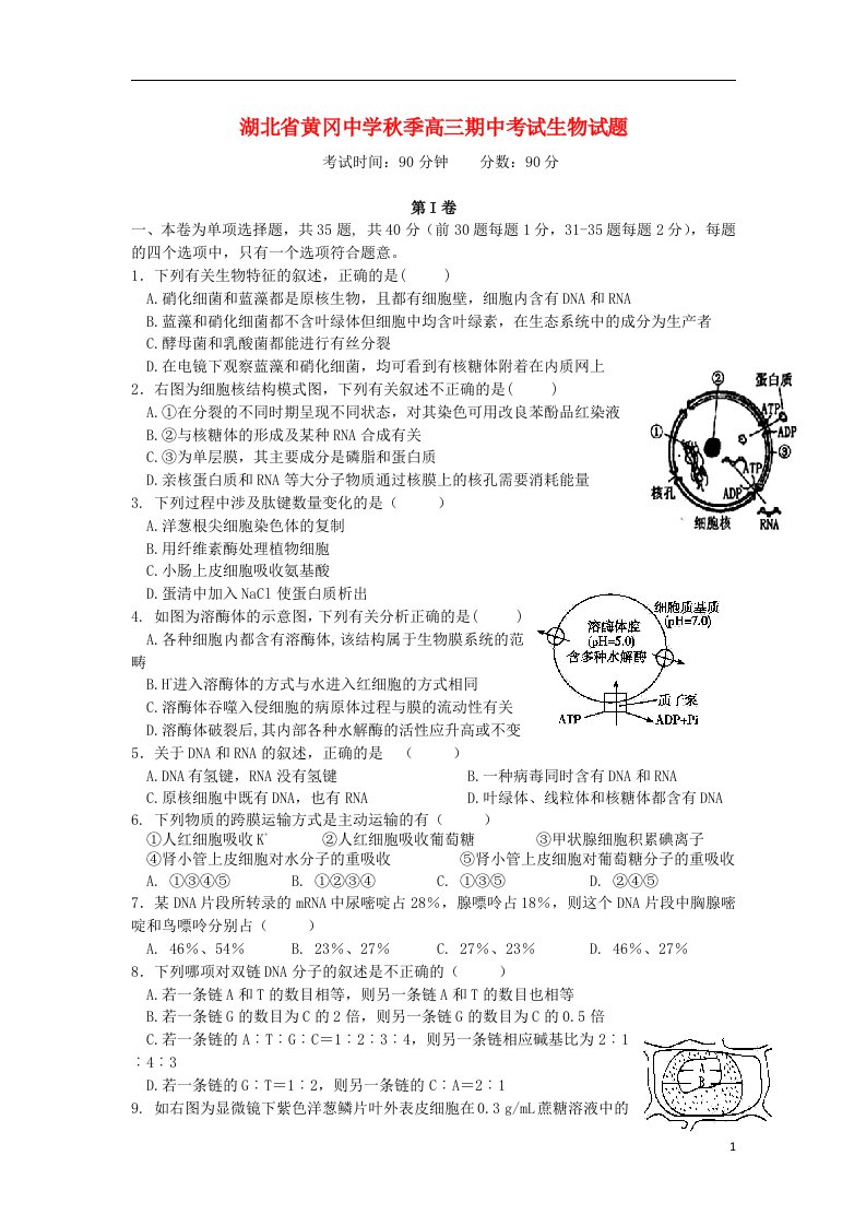 湖北省黄冈中学高三生物上学期期中试题新人教版