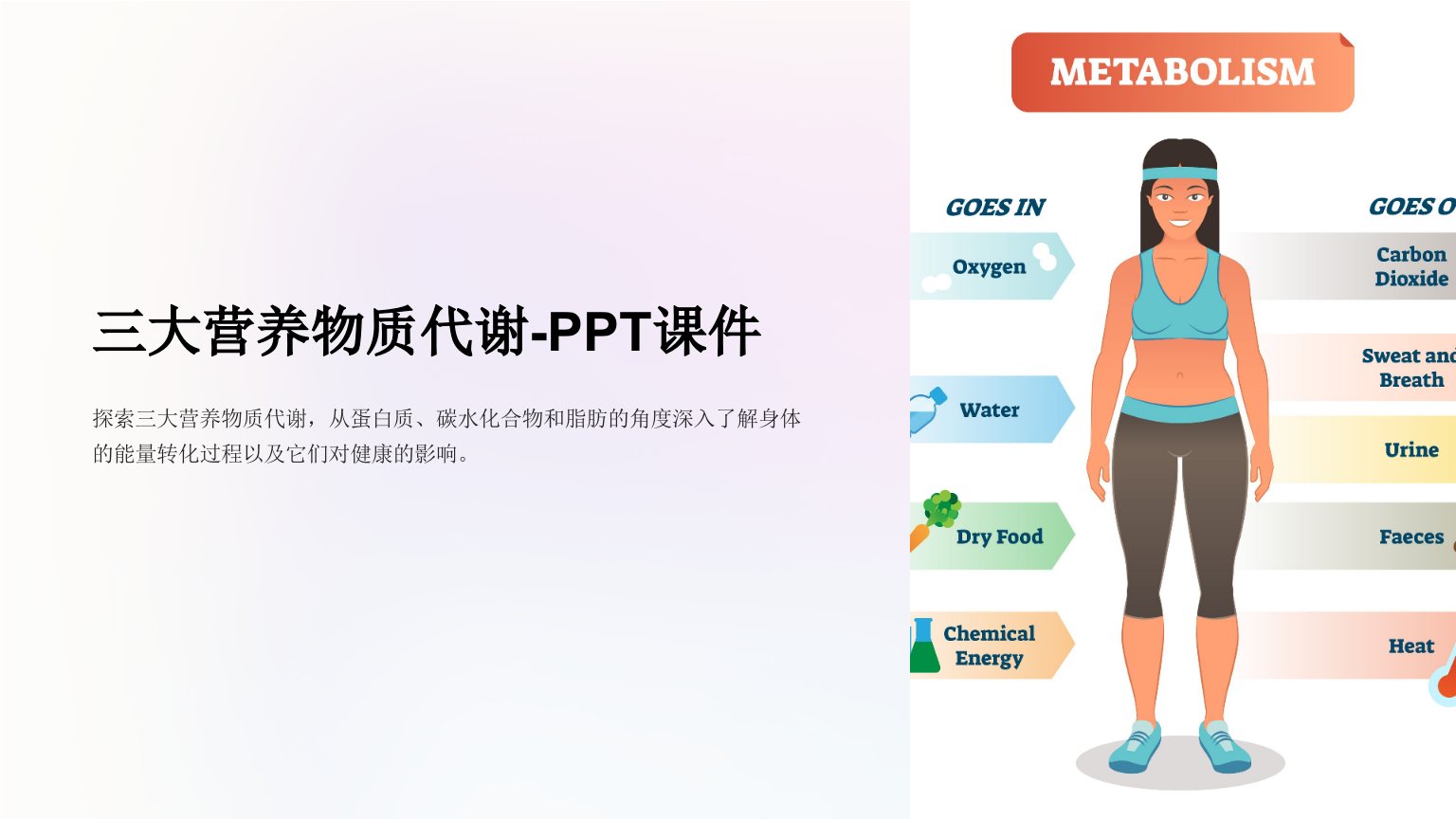 三大营养物质代谢-课件