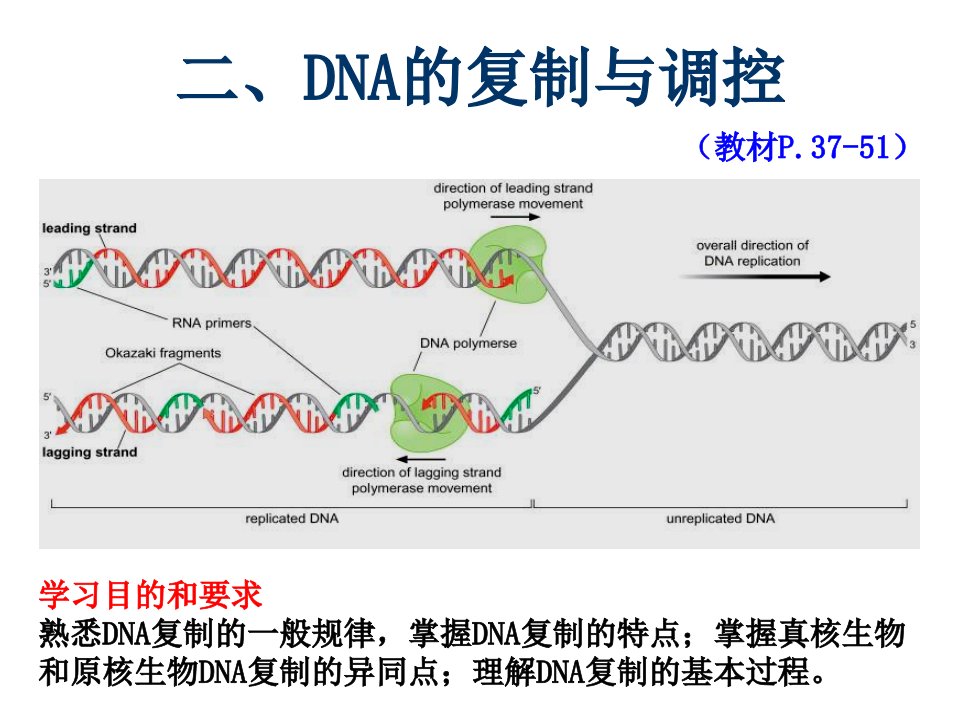 第二章染色体与DNA3复制