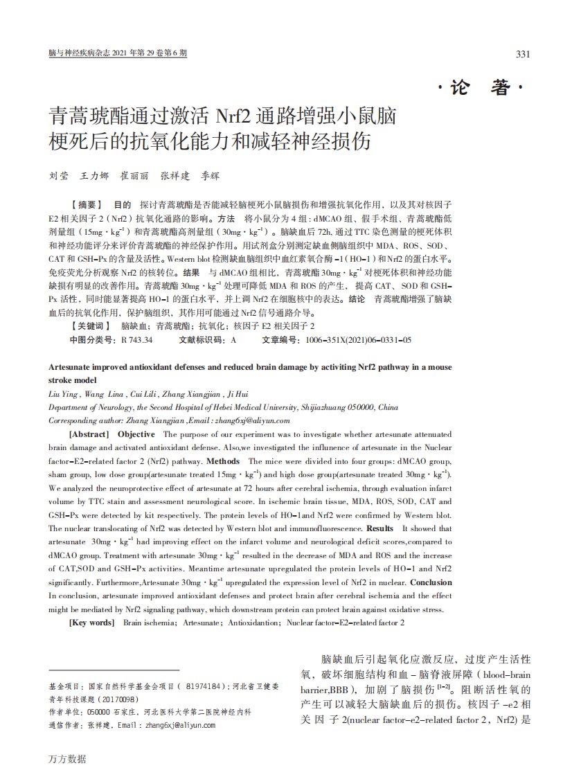 青蒿琥酯通过激活Nrf2通路增强小鼠脑梗死后的抗氧化能力和减轻神经损伤