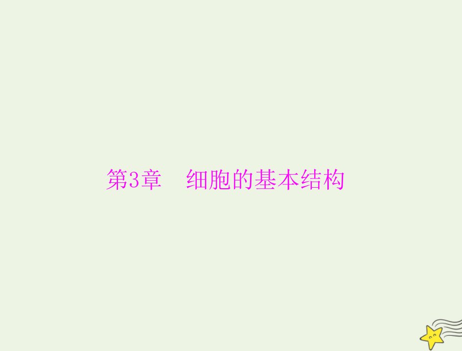 2023版高考生物一轮总复习第3章第13节细胞膜的结构和功能细胞核的结构和功能课件