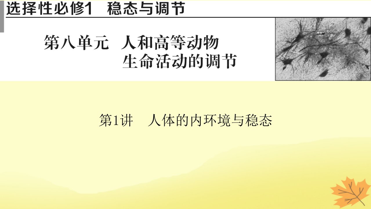 2023版高考生物一轮总复习第8单元人和高等动物生命活动的调节第1讲人体的内环境与稳态课件