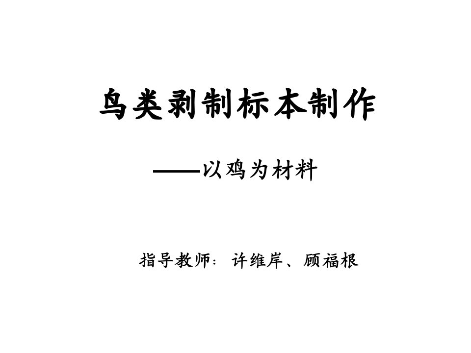 实验1、鸟类剥制标本制作