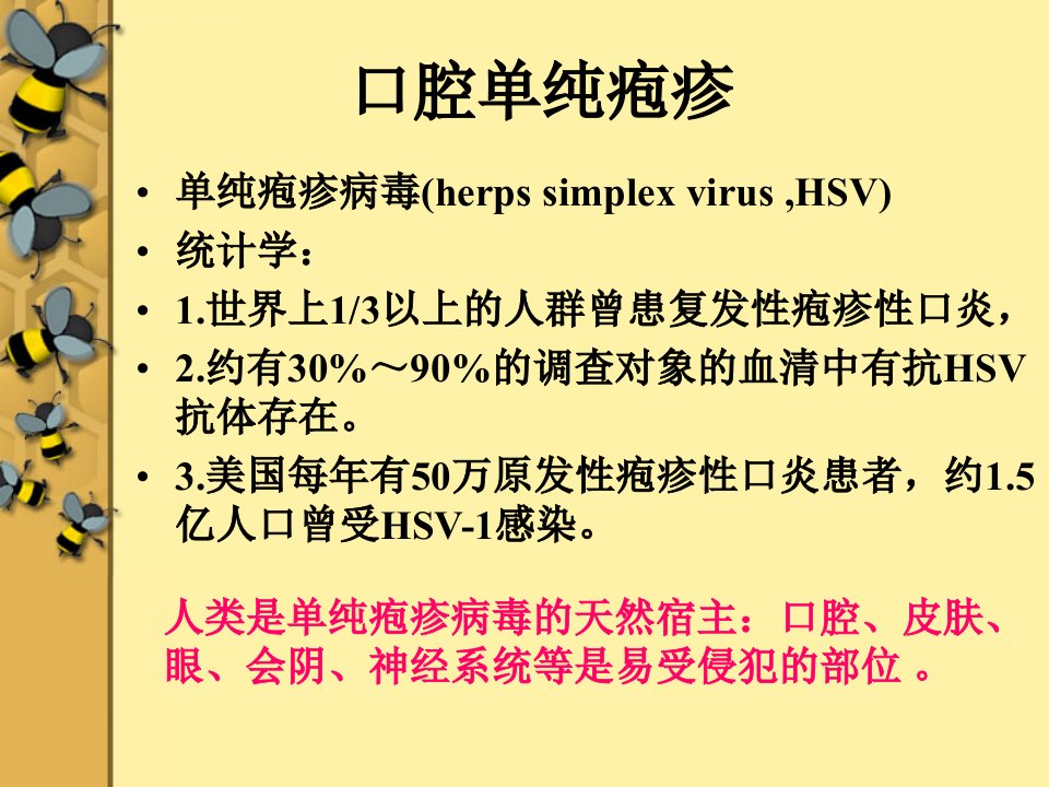 医学口腔单纯疱疹课件