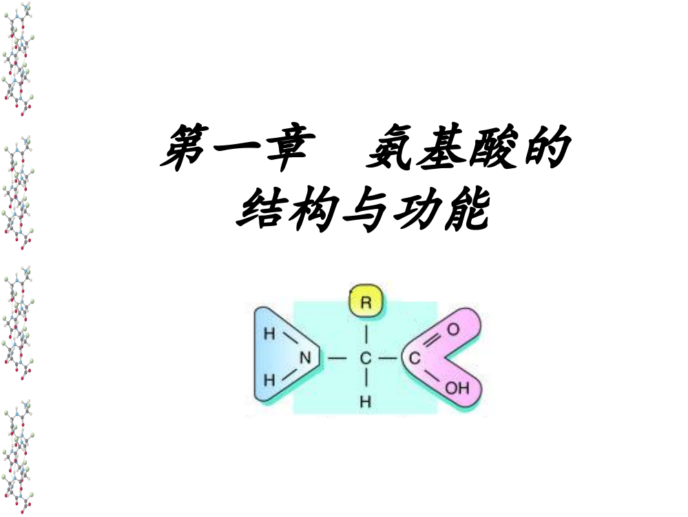 杨荣武生物化学原理第一章氨基酸ppt课件