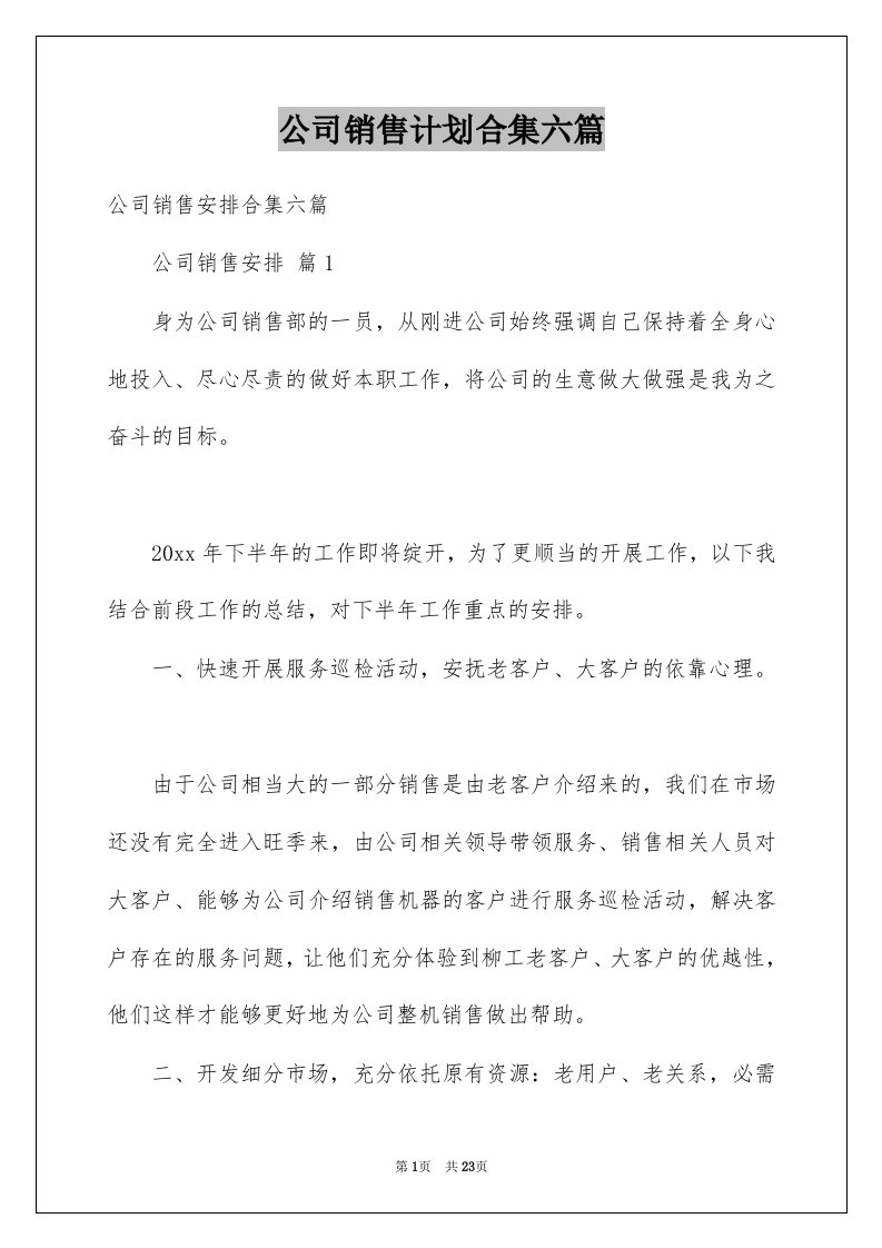 公司销售计划合集六篇范文