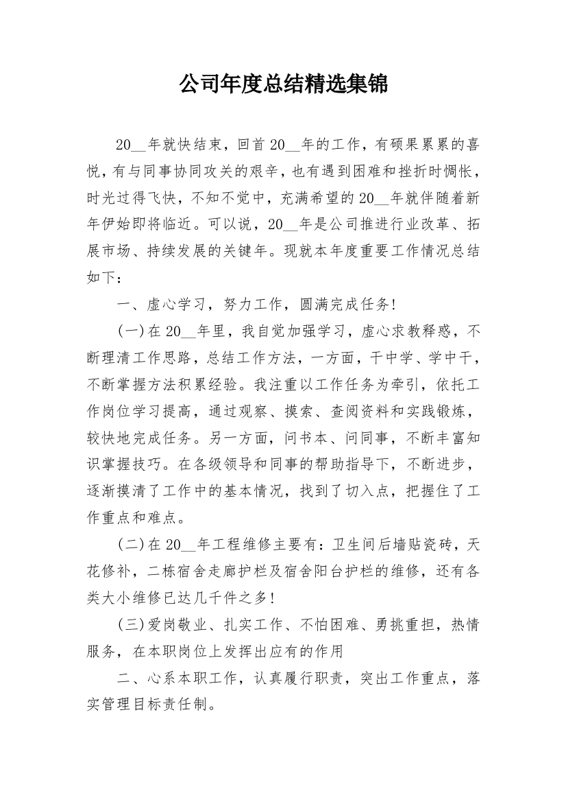 公司年度总结精选集锦