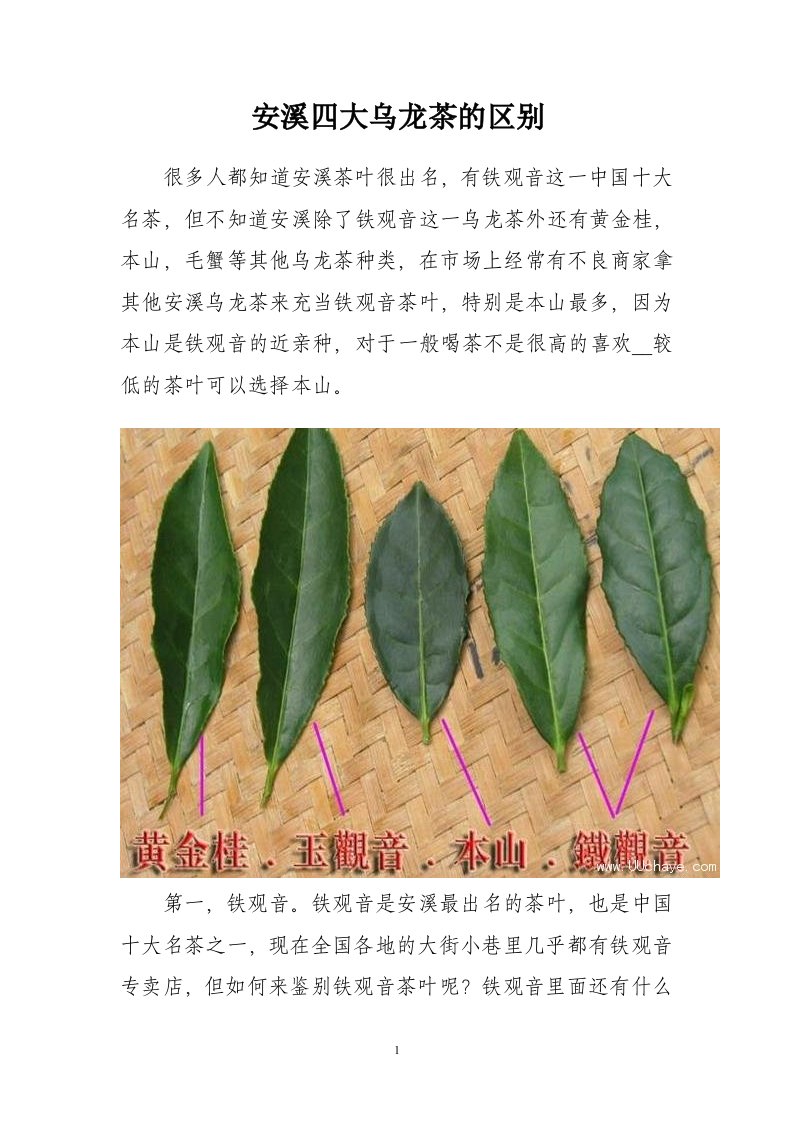 安溪四大乌龙茶的区别