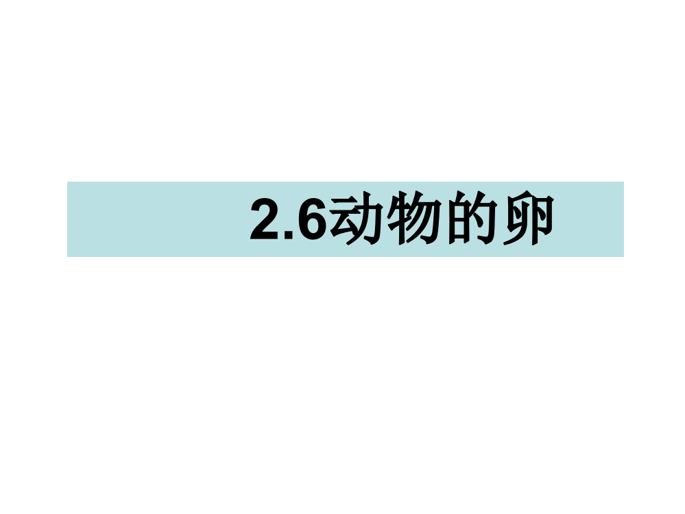 四级下册科课件-2.6动物的卵