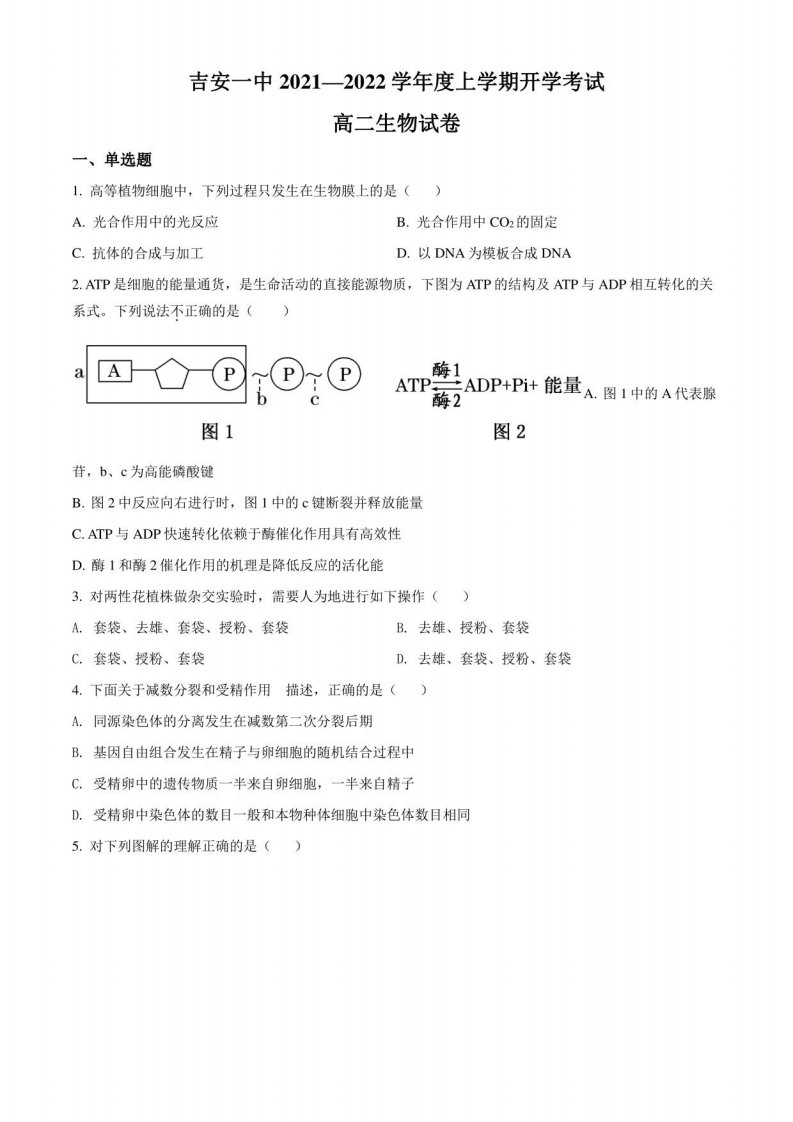 2021-2022学年江西省吉安市一中高二年级上册开学考试生物试卷（含详解）