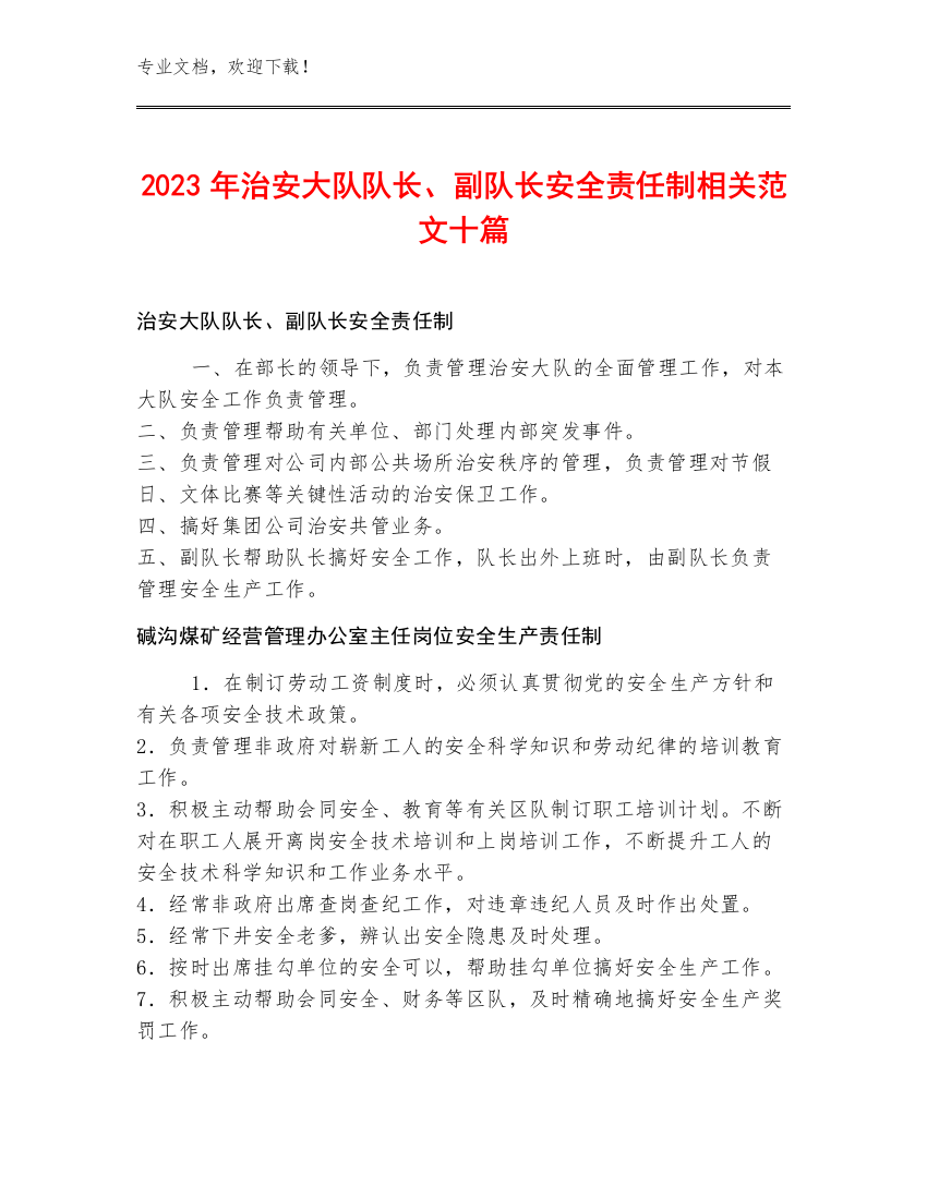 2023年治安大队队长、副队长安全责任制范文十篇