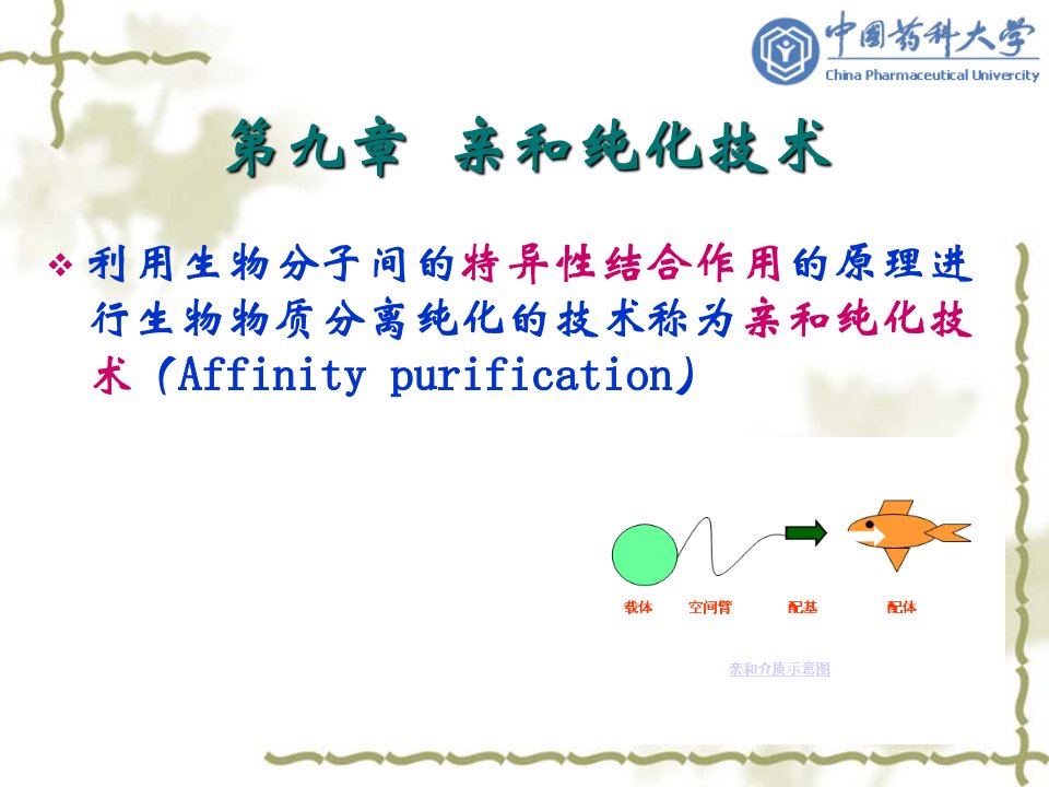 生物制药工艺学第9章亲和纯化技术
