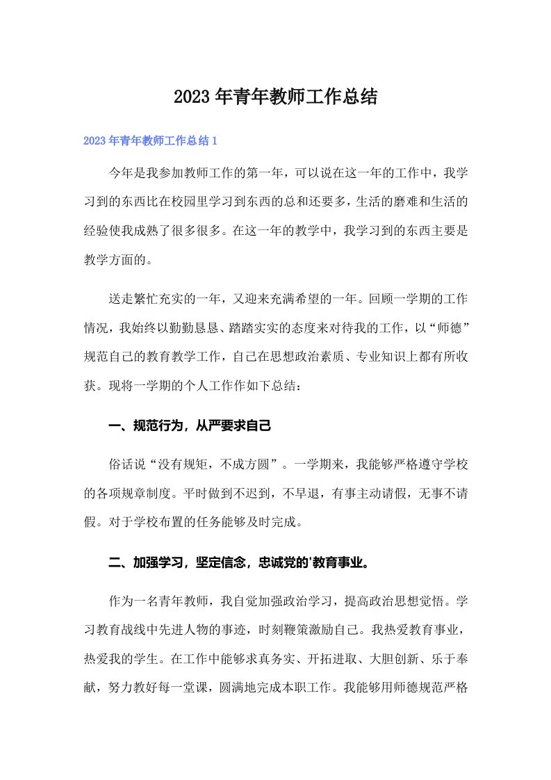 2023年青年教师工作总结