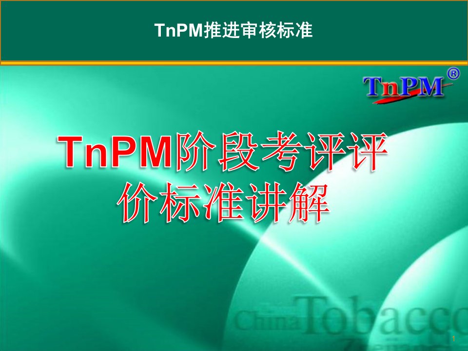 tnpm检查评价标准讲解