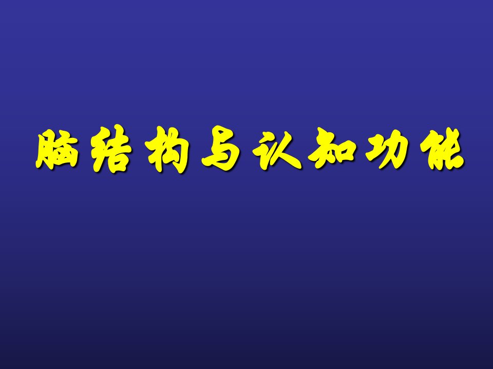 大脑皮层功能区简介